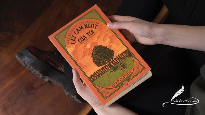My Sweet Orange Tree Book