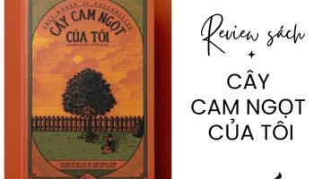 Review My Sweet Orange Tree – José Mauro de Vasconcelos