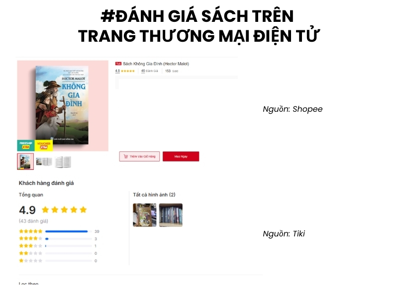 Review sách Không gia đình | Giới thiệu & tóm tắt 5 Danh gia sach khong gia dinh