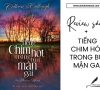 Review sách Tiếng chim hót trong bụi mận gai | Tóm tắt sách & Review