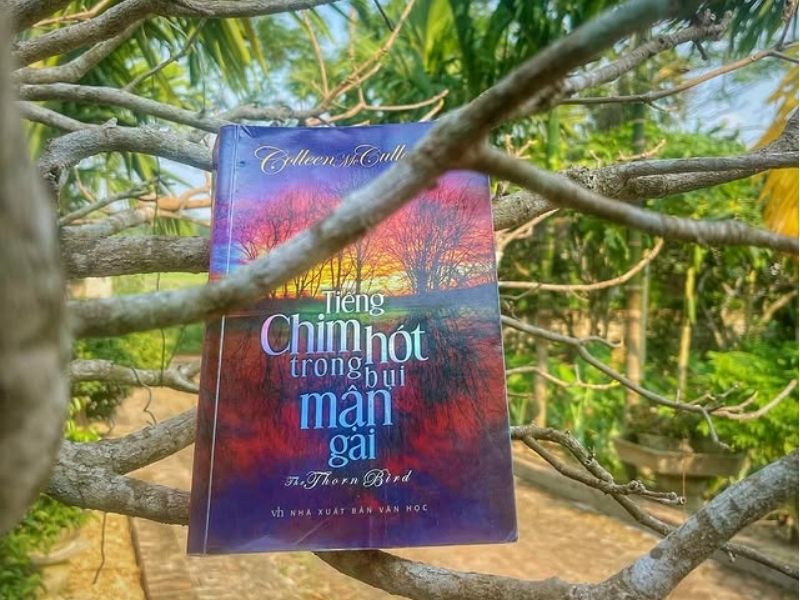 Review sách Tiếng chim hót trong bụi mận gai | Tóm tắt sách & Review 3 Sách tiếng chim hót trong bụi mận gai
