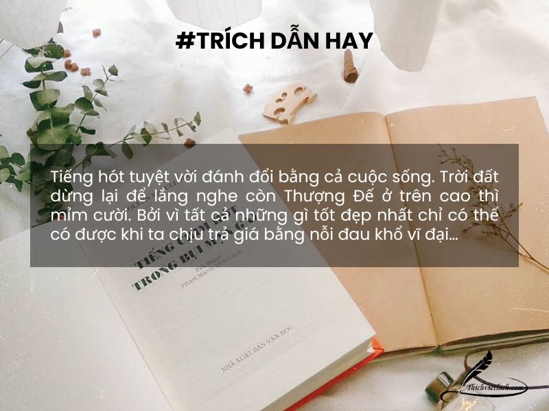 Review sách Tiếng chim hót trong bụi mận gai | Tóm tắt sách & Review 4 Trích dẫn hay trong cuốn sách tiếng chim hót bụi mận gai